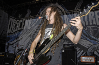 Noisem